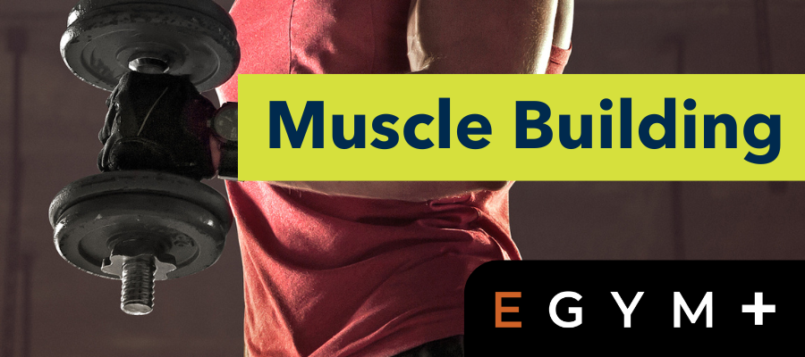 EGYM MB Picture