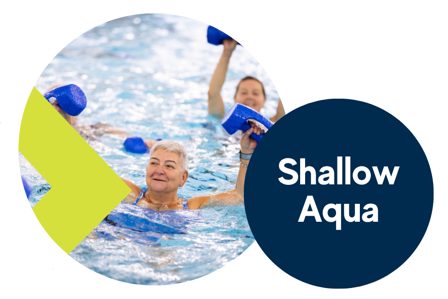 Shallow Aqua